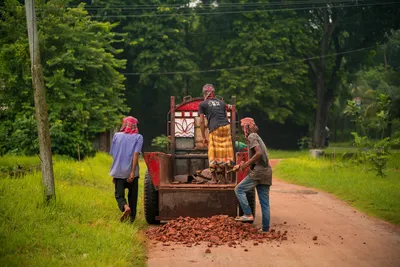 Workers unloading bricks for road construction on a rural path.
